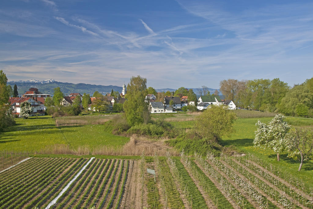 Hotel-Restaurant Walserhof Wasserburg Eksteriør billede